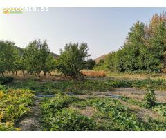 Huerta en venta