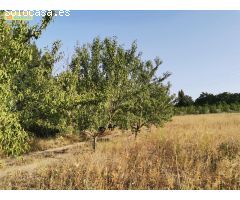Huerta en venta