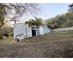 Venta de finca
