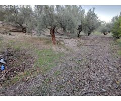 Venta de finca