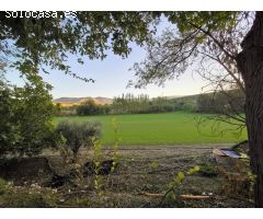 Venta de finca