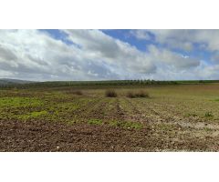 Tierra calma en venta