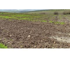 Tierra calma en venta
