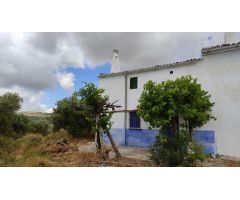Venta de casa de campo y olivar