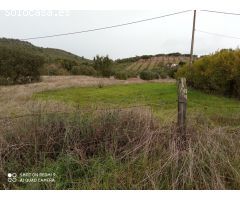 PARCELA RUSTICA EN LA CODOSERA