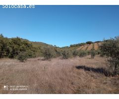 PARCELA RUSTICA EN LA CODOSERA