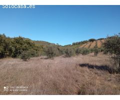 PARCELA RUSTICA EN LA CODOSERA