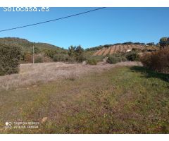 PARCELA RUSTICA EN LA CODOSERA