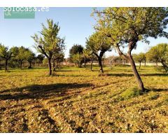 FINCA RÚSTICA TÉRMINO LLOSETA CON CONTADOR LUZ Y AGUA