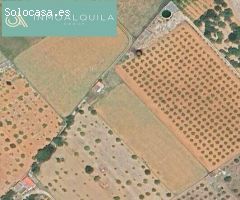 FINCA RÚSTICA EN BINISSALEM