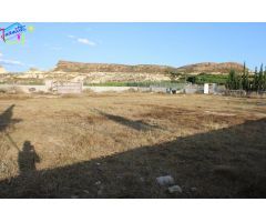 PARCELA 2.430 M2 EN LOS INTES
