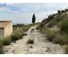 HUERTA EN LOS TOLLOS ( ARBOLEDAS )