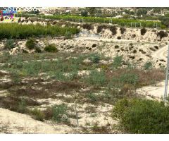 HUERTA EN LOS TOLLOS ( ARBOLEDAS )