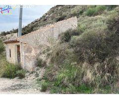 HUERTA EN LOS TOLLOS ( ARBOLEDAS )