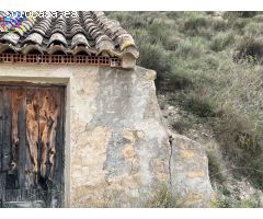 HUERTA EN LOS TOLLOS ( ARBOLEDAS )