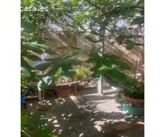 Casa de Pueblo en Venta en Guardamar del Segura, Alicante