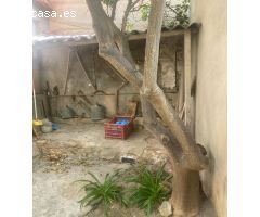 Casa de Pueblo en Venta en Guardamar del Segura, Alicante