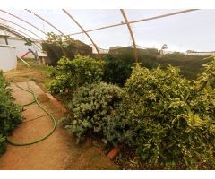 SE VENDE CASA 227 M2 EN PARCELA RUSTICA DE 2.050 M2 CON PISCINA