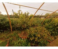 SE VENDE CASA 227 M2 EN PARCELA RUSTICA DE 2.050 M2 CON PISCINA