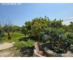 Casa de campo en Venta en El Olivar, Valencia