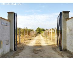 Casa rural con huerto y agua potable en Hinojos, Huelva, España