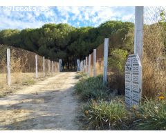 Casa rural con huerto y agua potable en Hinojos, Huelva, España