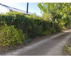 Casa rural con huerto y agua potable en Hinojos, Huelva, España