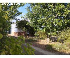 Casa rural con huerto y agua potable en Hinojos, Huelva, España