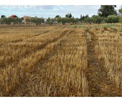 PARCELA RÚSTICA  EN VENTA