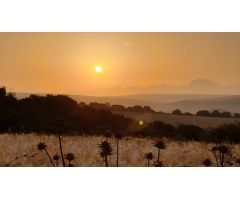 Terreno rural en Venta en Arcos de la Frontera, Cádiz