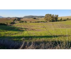 Terreno rural en Venta en Arcos de la Frontera, Cádiz
