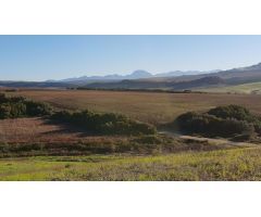 Terreno rural en Venta en Arcos de la Frontera, Cádiz