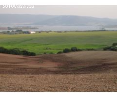 Terreno rural en Venta en Arcos de la Frontera, Cádiz