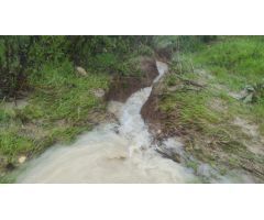 Terreno rural en Venta en Arcos de la Frontera, Cádiz