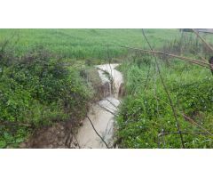 Terreno rural en Venta en Arcos de la Frontera, Cádiz