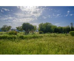 Finca Urbana en Palomares
