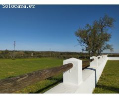 Exclusivo Cortijo Ecuestre en Niebla, Huelva – 6,9 Hectáreas de Encanto Andaluz 