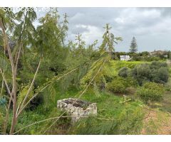 Finca rustica en Venta en Alhaurín de la Torre, Málaga