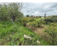 Finca rustica en Venta en Alhaurín de la Torre, Málaga