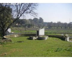 Suelo Agrario en Huerta el Cura