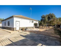 Espectacular chalet con piscina en Zona Magistrado