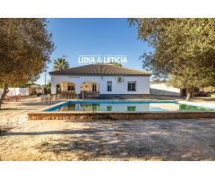 Espectacular chalet con piscina en Zona Magistrado