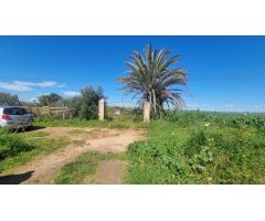 TERRENO RUSTICO- CARRETERA MAIRENA-ALMENSILLA