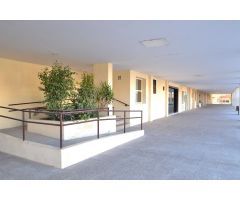 Alquiler en Triana
