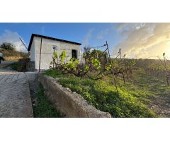 Chalet en Venta en Tosca de Ana María, Santa Cruz de Tenerife
