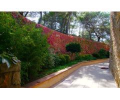 Preciosa finca en una zona muy cotizada de Benissa