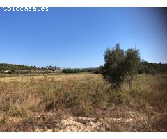 Terreno rural en Venta en Teulada, Alicante