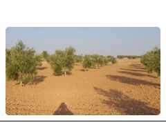 Parcela en Venta en Camuñas, Toledo