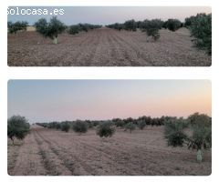 Parcela en Venta en Villafranca de los Caballeros, Toledo