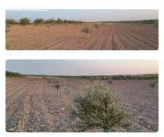 Parcela en Venta en Villafranca de los Caballeros, Toledo